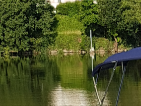 LOT 2018