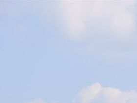 Vogelweekend 2018