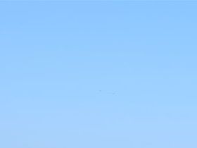 Vogelweekend 2018