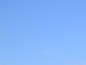 Vogelweekend 2018