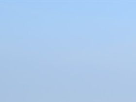 Vogelweekend 2018
