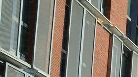 MYC 25 jaar Bebronna