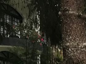 Maleisië 2019
