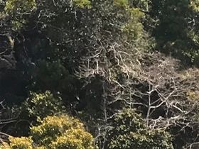 Maleisië 2019