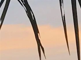 Maleisië 2019