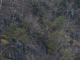 Maleisië 2019