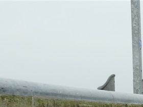 Wadden 2019