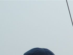 Wadden 2019