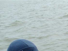Wadden 2019