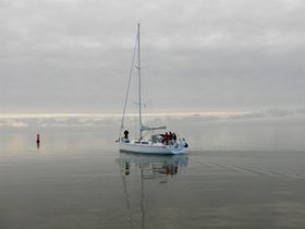 Wadden 2019