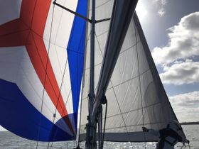 Wadden 2019