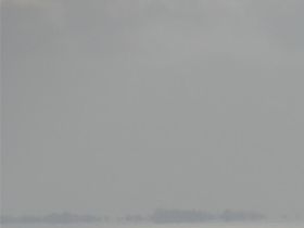 Wadden 2019