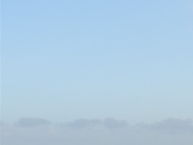Wadden 2019