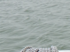 Wadden 2019