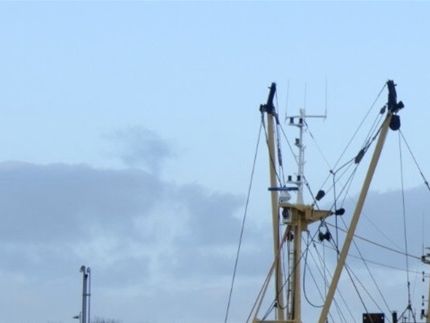 Wadden 2019