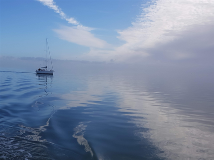 Wadden 2019