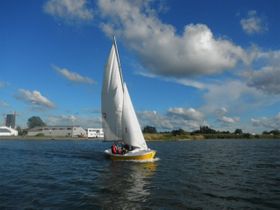Kleinzeilerij 2019