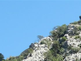 Montenegro 2019