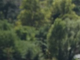 Montenegro 2019