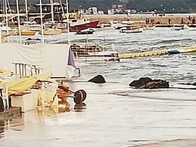 Montenegro 2019